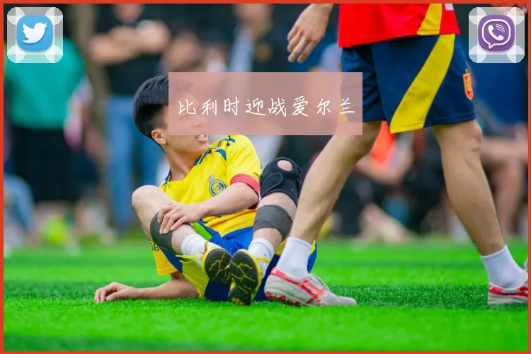比利时迎战爱尔兰