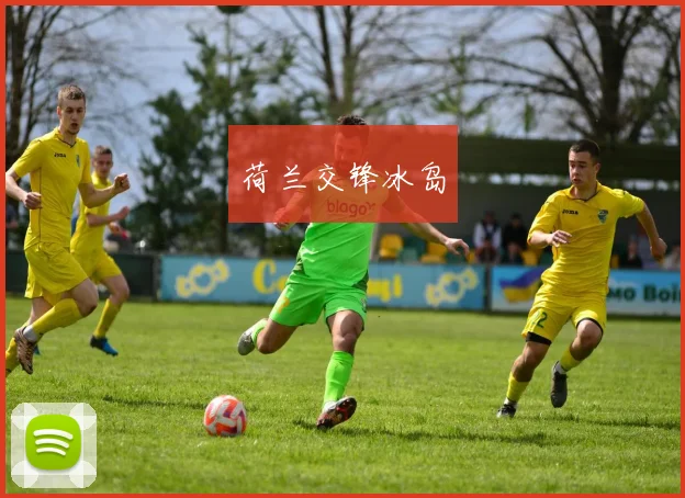 荷兰交锋冰岛
