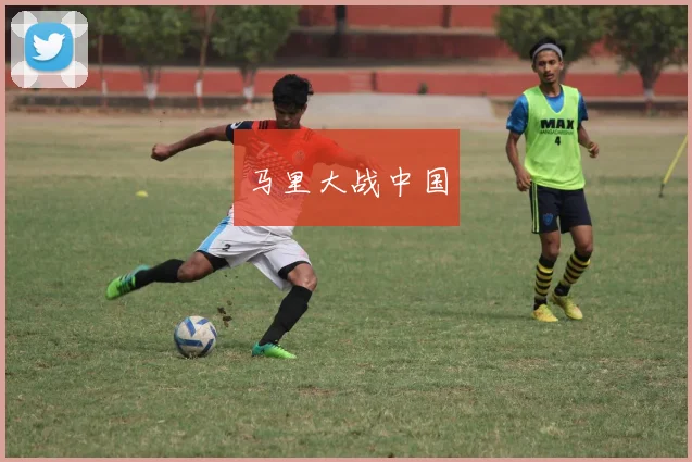 马里大战中国