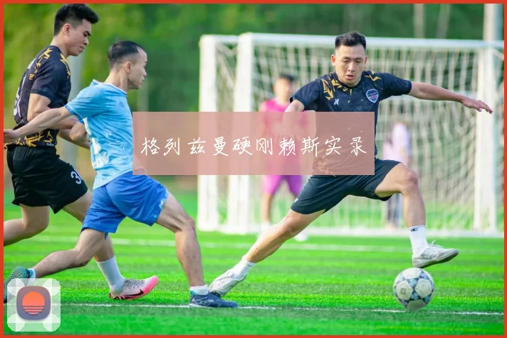 格列兹曼硬刚赖斯实录