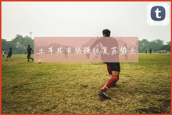 土耳其市场强劲复苏势头