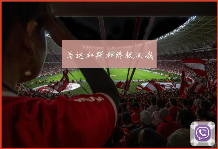 马达加斯加终极决战