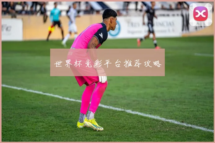 世界杯竞彩平台推荐攻略