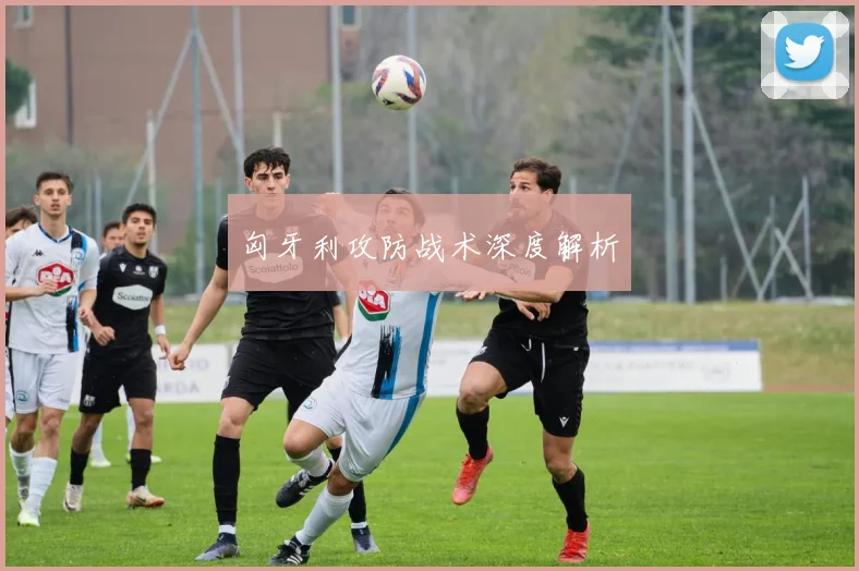 匈牙利攻防战术深度解析