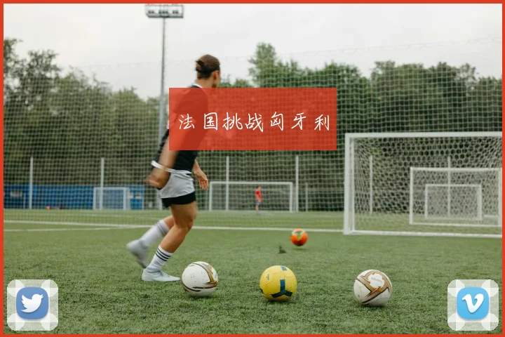 法国挑战匈牙利