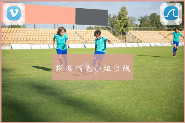 斯洛伐克小组出线