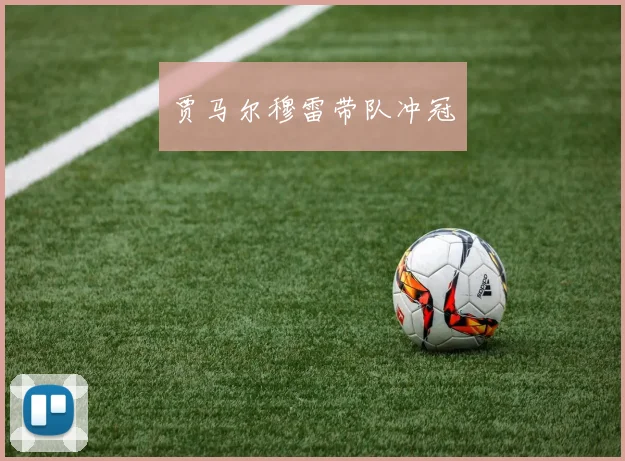 贾马尔穆雷带队冲冠