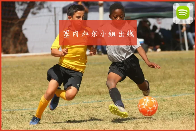 塞内加尔小组出线