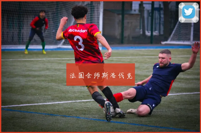 法国会师斯洛伐克