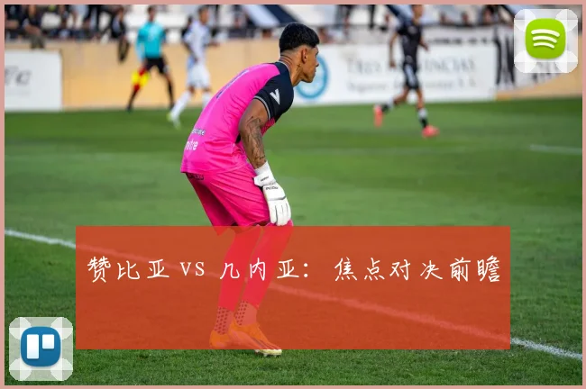 赞比亚 vs 几内亚：焦点对决前瞻