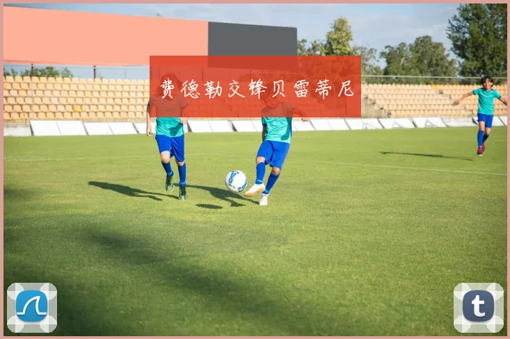 费德勒交锋贝雷蒂尼