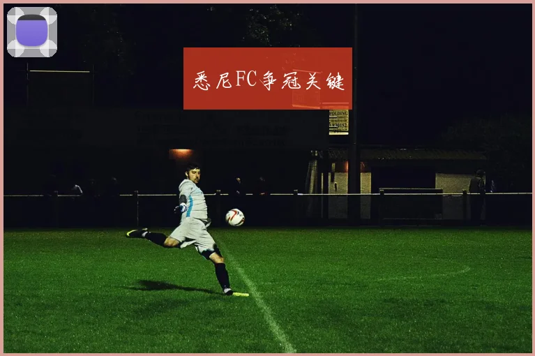 悉尼FC争冠关键
