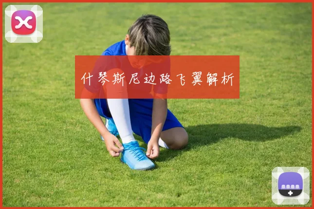 什琴斯尼边路飞翼解析