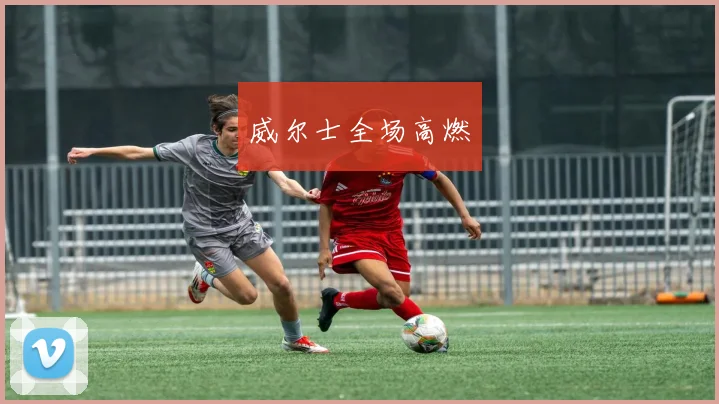 威尔士全场高燃