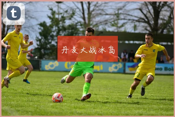 丹麦大战冰岛