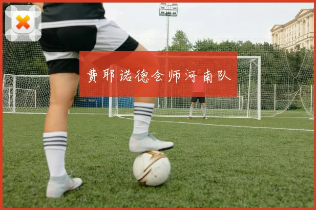 费耶诺德会师河南队