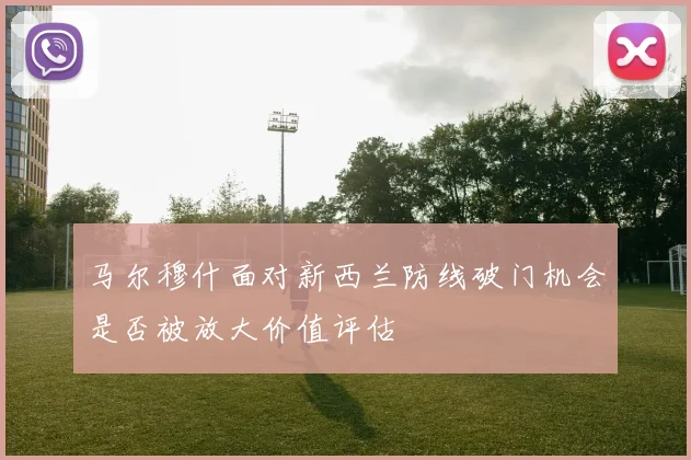 马尔穆什面对新西兰防线破门机会是否被放大价值评估