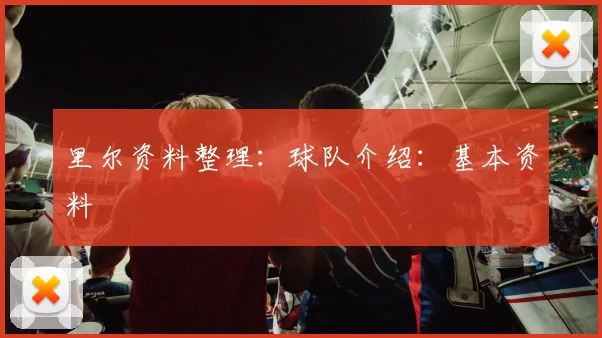 里尔资料整理:球队介绍:基本资料